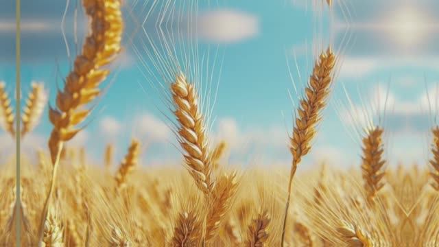 Посидим по- хорошему. Инна Каменева. смотреть онлайн