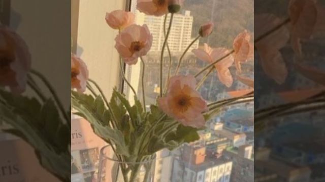 🩷эстетика🩷