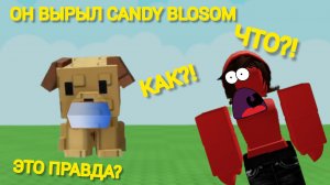 Вырасти Сад в Роблокс 🌱 ОН ВЫРЫЛ CANDY BLOSOM?! 😧 МОГУТ ЛИ СОБАКИ ВЫРЫТЬ ПРИСМАТИК ИЛИ ДИВАЙН? 🤔