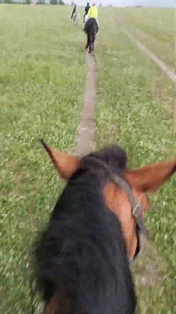 Учимся верховой езде. Едем на скалу Уклы Кая. Таинственная Башкирия. #путешествияпороссии #башкирия