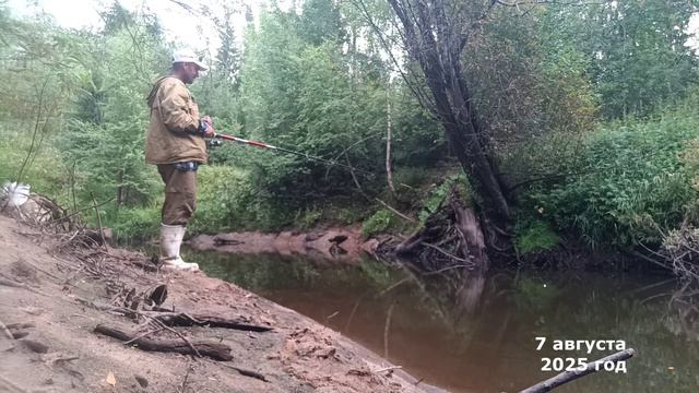 Речная рыбалка на поплавочная  удочке.