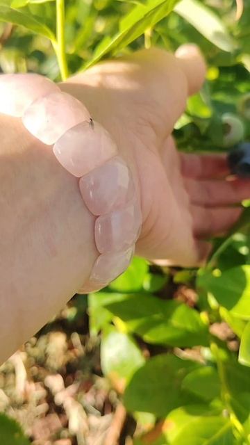 Я огородник-садовод