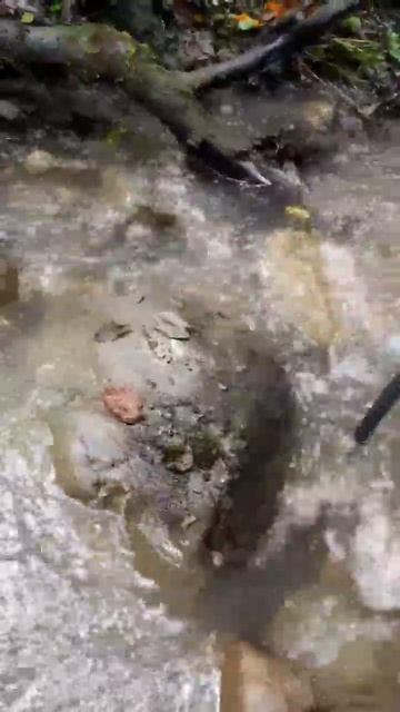 Добыл артефакт.#реки