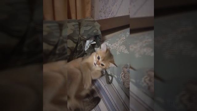 Марсель