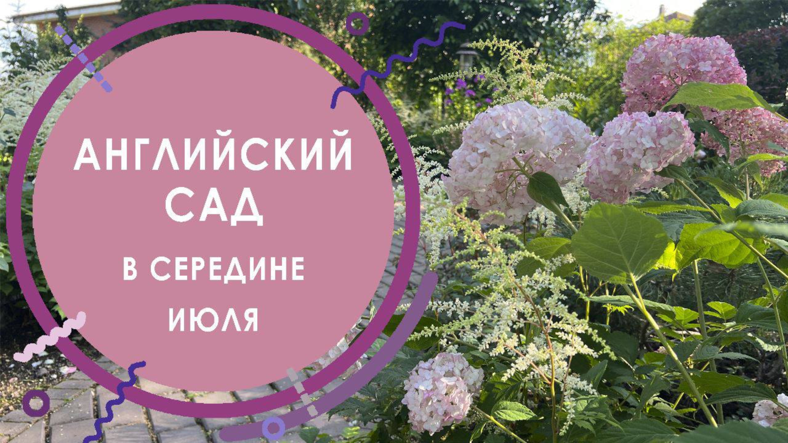 Редкие растения в саду / Дизайн сада в Английском стиле / Июль 2023