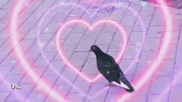 Здравствуй мир смотреть онлайн