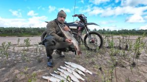 РЫБАЛКА НА СПИННИНГ, ЛОВЛЯ ХОРОШИХ ЩУК. СНЕГОХОДЫ СТОЯТ НА БОЛОТЕ. НА ЭНДУРО ПО ГРЯЗЯМ.