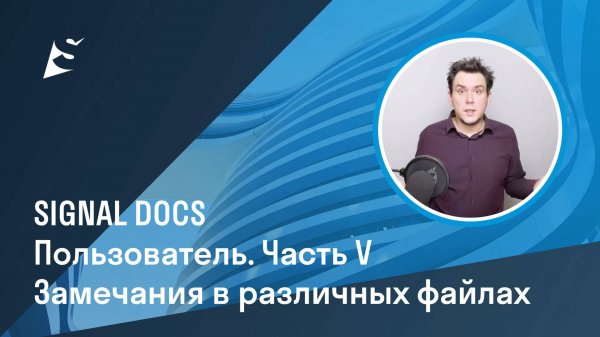 Пользователь SIGNAL DOCS. Часть V. Замечания в различных файлах