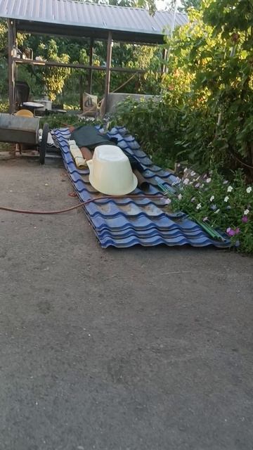 снимаю подружку Персика.mp4