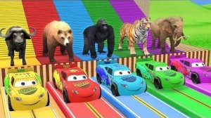 Мультики  про тигров ,льаят и всяких млекопитающих ,познаем мир