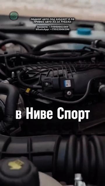 КУПИЛИ БЫ СЕБЕ НОВУЮ NIVA SPORT? #автоподбор #lada #подборавто #автоновости #автоприколы смотреть онлайн