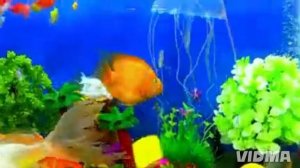 Путешествие по аквариуме