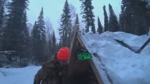 ТАЙГА, ОДИН НА СТРОИТЕЛЬСТВО.НЕЗВАННЫЕ ГОСТИ, НОЧЬ В ИЗБЕ