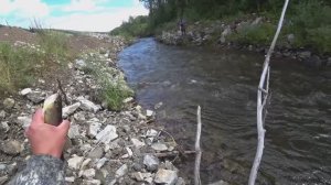 Эта Речка в ТАЙГЕ Забита РЫБОЙ# Попали на КЛЁВ Крупного ХАРИУСА# РЫБАЛКА в Непролазной Тайге!!!