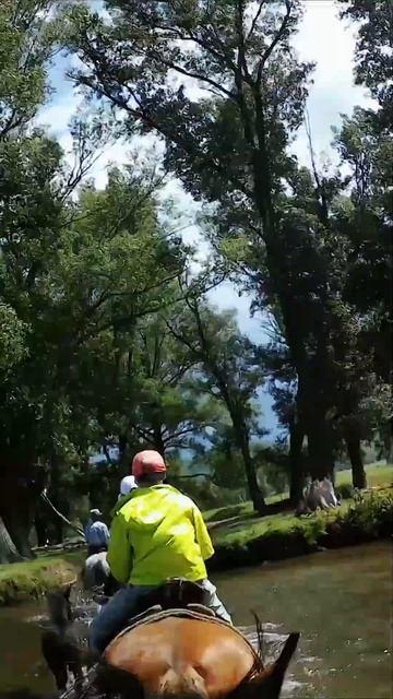 Возвращаемся под проливным дождем. Нам салютуют трактористы.   #башкирия