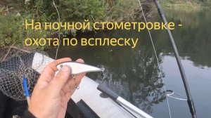 НОЧЬЮ НА РЕКЕ: ЩУКА СЕБЯ ВЫДАЛА - грохочу джерком Strike Pro Baby Buster.