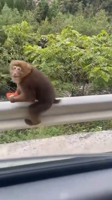 Секунда радости.