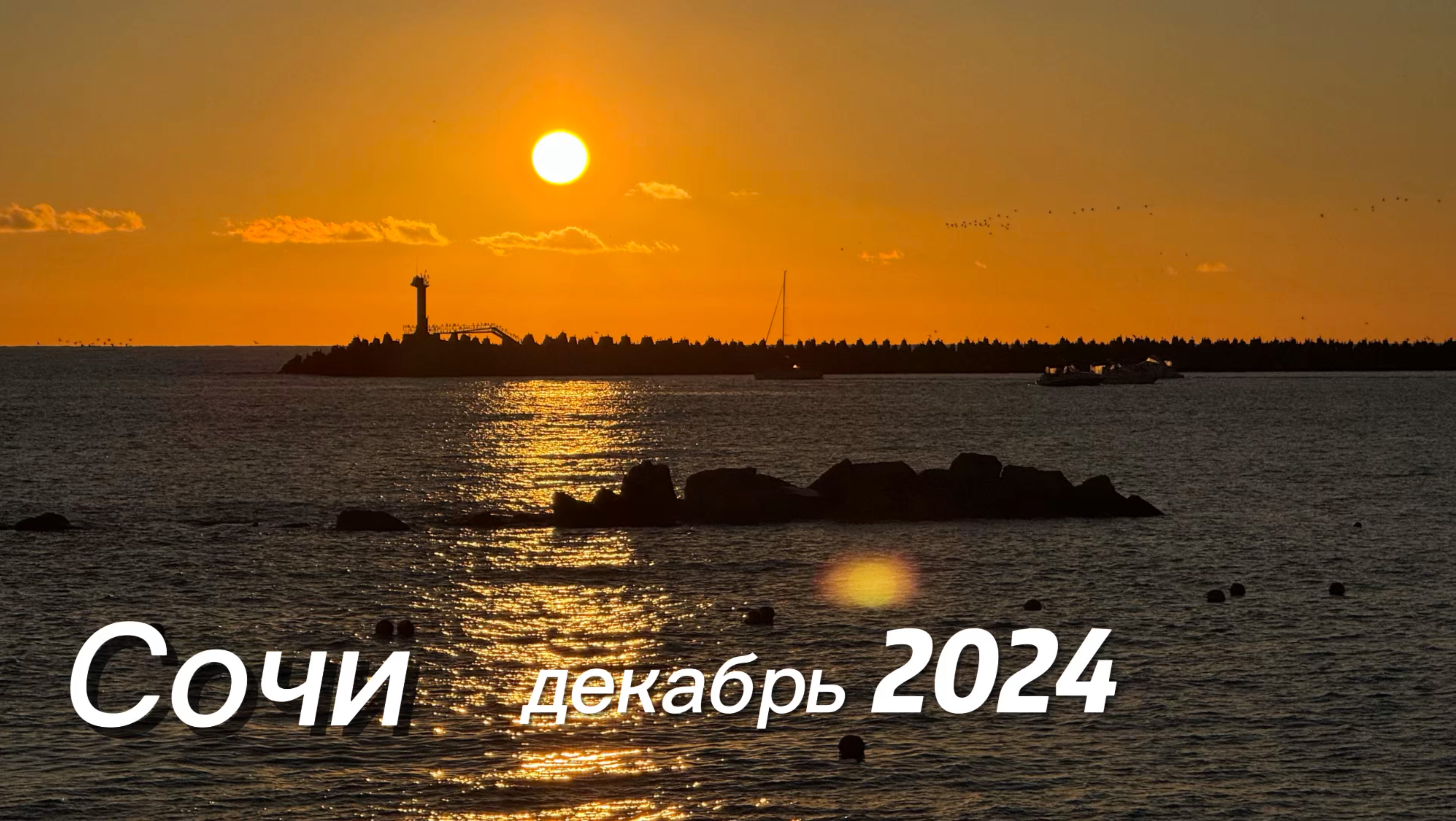 Сочи | декабрь 2024
