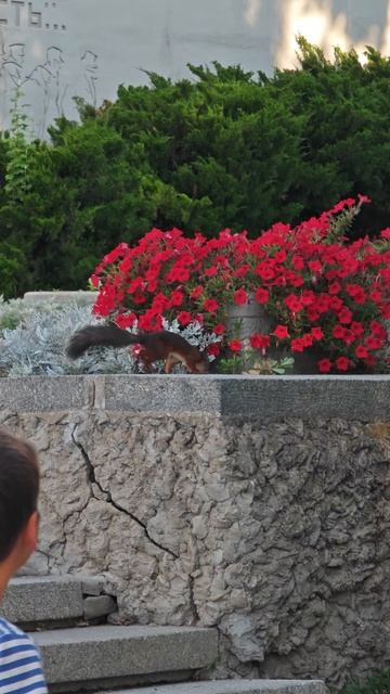 Волгоград в память погибшим воинам
