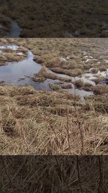 Восход 3м-01 и канава №205в смотреть онлайн