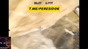 Рой российских дронов напал на группу ВСУ