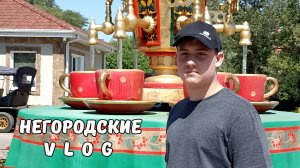 Парк "ЛОГА". Птичий двор приятно удивил! 30.07.25