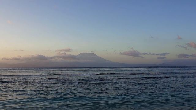 Дельфины на БАЛИ