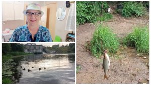 "Жизнь на пенсии".. Проводила молодёжь, съездила в магазин и пошла на рыбалку.