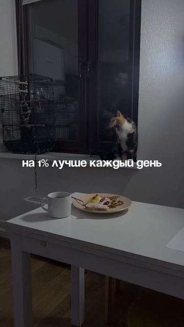 #проект50дней 1/50 дней смотреть онлайн