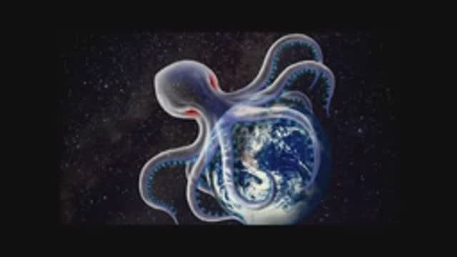 Жёлтый спрут с золотой короной. 03.08.25. смотреть онлайн