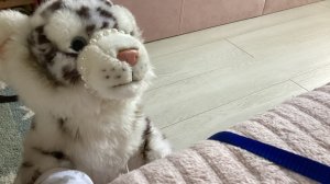 77624612629__3FB22C60-A577-4DED-BB45-12FBD911C064