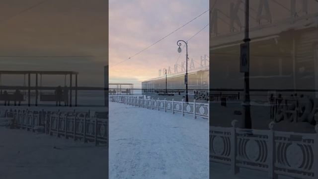 Светлана Кутузова