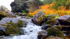 Mr Salama & Umar Keyn.mp4