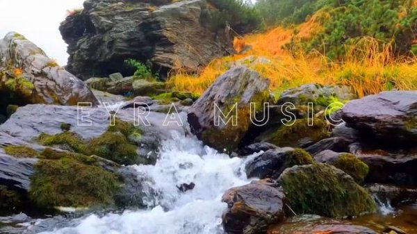 Mr Salama & Umar Keyn.mp4