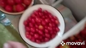 /закатки на зиму/цветная капуста в томатном соке/