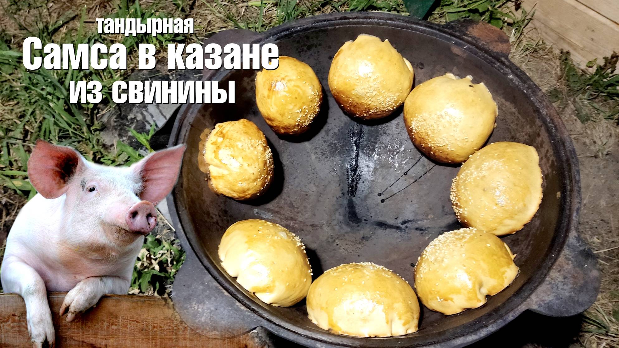 Тандырная Самса в казане из свинины смотреть онлайн
