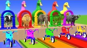 Детские мультики про животных катающихся на велосипедах