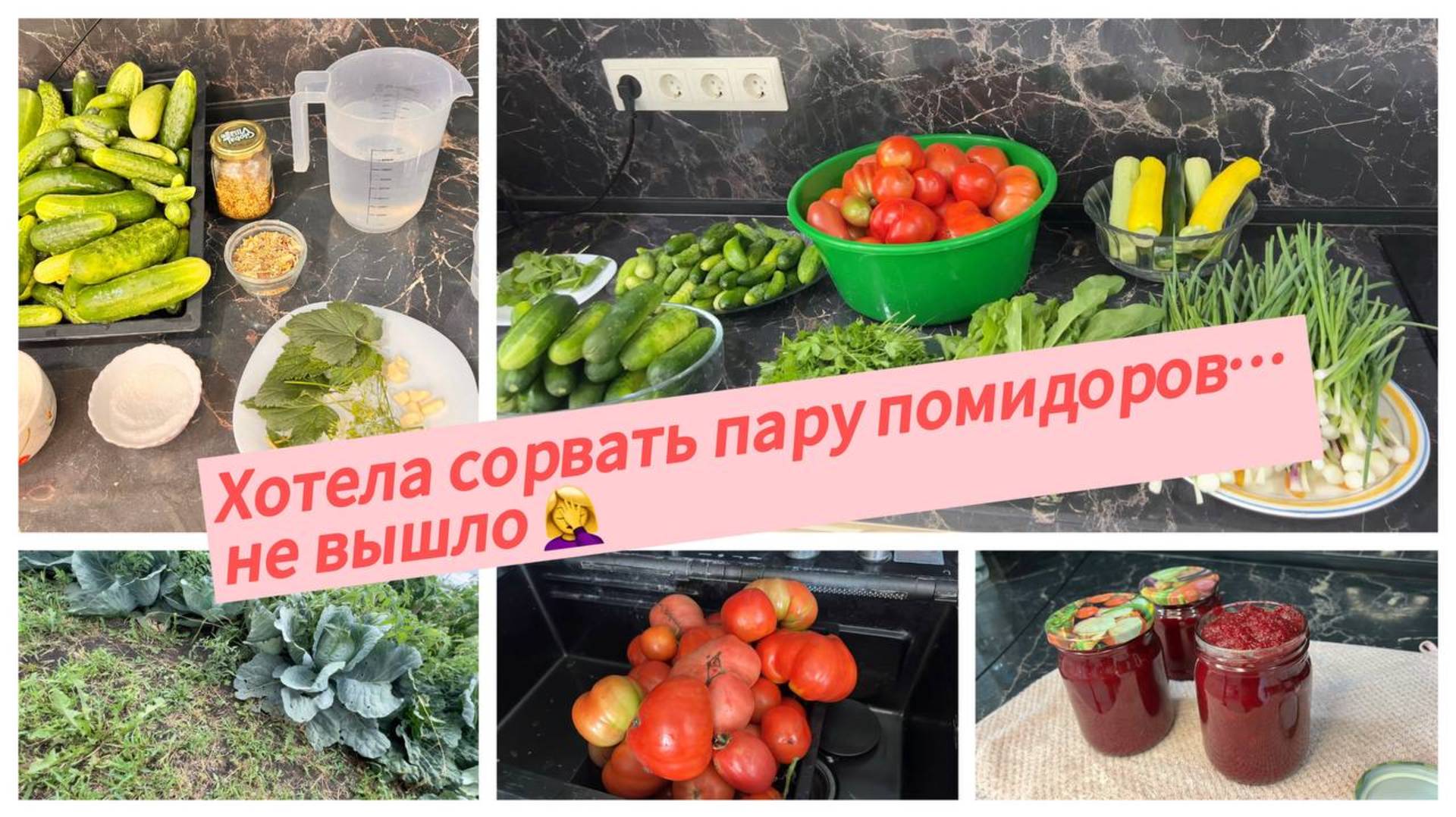 Урожайный сезон, столько всего выросло на грядках смотреть онлайн