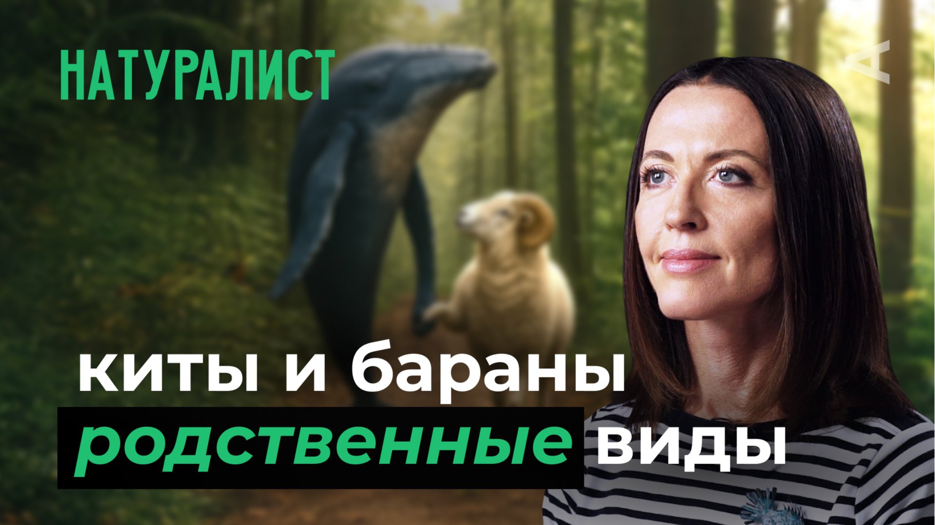10 глупых вопросов НАТУРАЛИСТУ смотреть онлайн