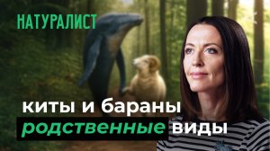 10 глупых вопросов НАТУРАЛИСТУ