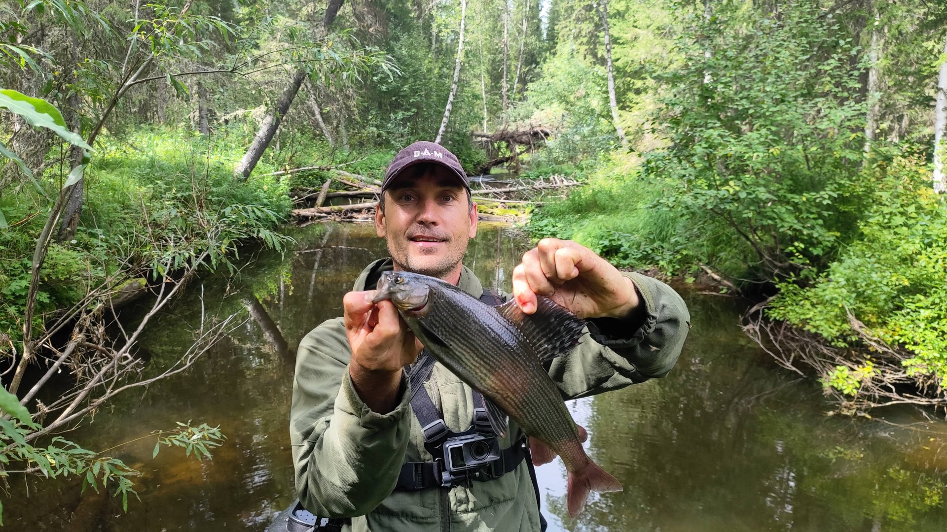 Рыбалка на хариуса/Крупный хариус на поплавочную удочку/ Мушки не подвели смотреть онлайн