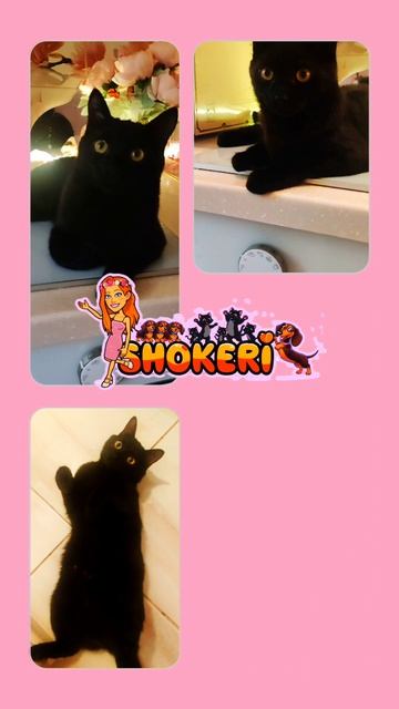 💓Мир розового света💓