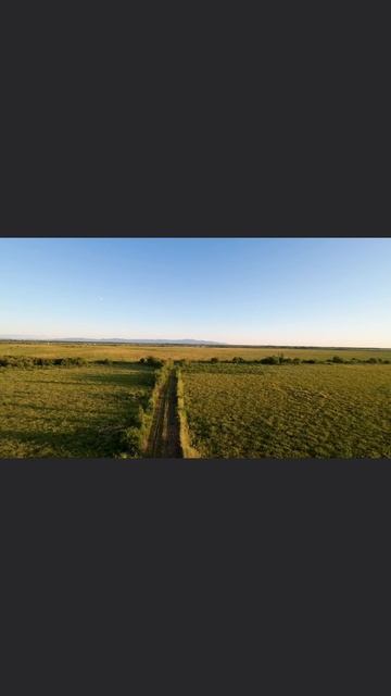 Дорога в поле