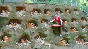 Много наседок вылупили много цыплят. Покупаем много лимонов у фермеров и идем продавать на рынок