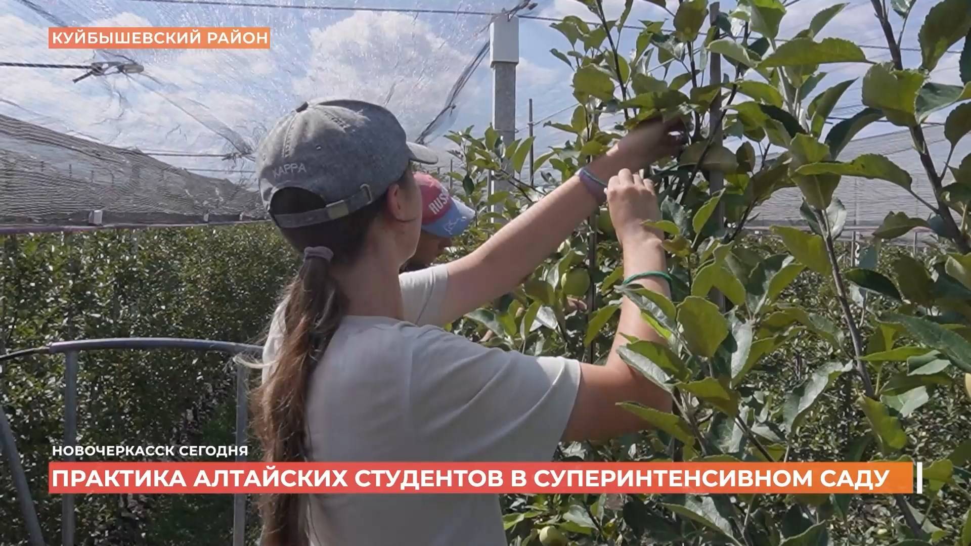 Новочеркасск сегодня. Выпуск за 07 августа 2025 смотреть онлайн