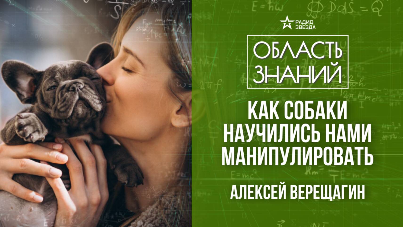 Собака и человек: история взаимоотношений. Лекция зоолога Алексея Верещагина смотреть онлайн