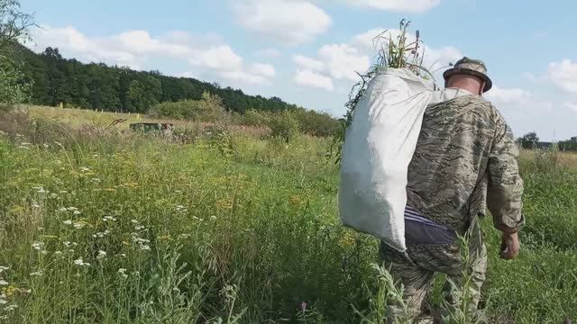 ЗАПОЗДАЛОЕ ВИДЕО, ПЕРВЫЙ РАЗ СОЙДЁТ смотреть онлайн