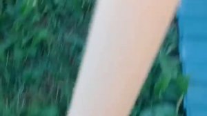 Мопеды сериал | Серия 1469