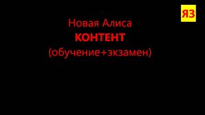 НОВАЯ Алиса!!! Яндекс Задания. Можно заработать?