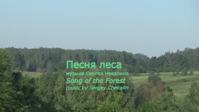Песня леса. Сергей Чекалин. Song of the forest. Sergey Chekalin. смотреть онлайн